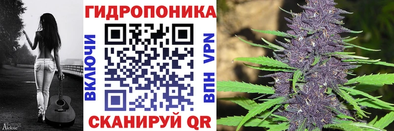 Купить закладки  Белая Холуница  Шишки марихуана THC 21% 